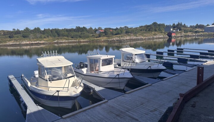 Staten setter fisketurismen under lupen