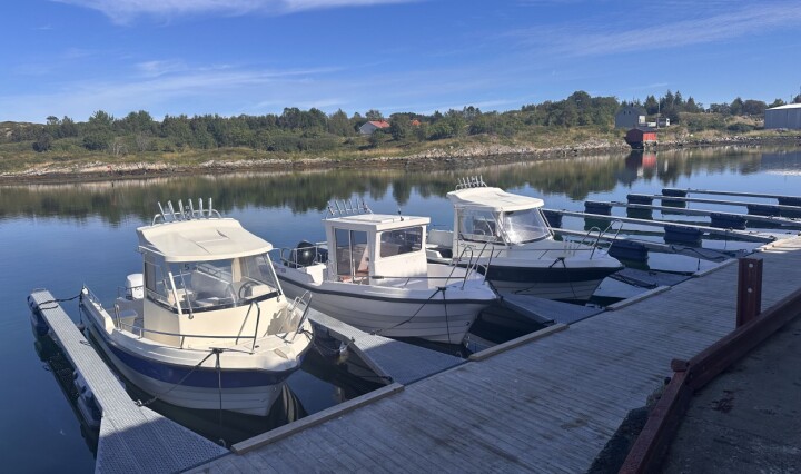 Staten setter fisketurismen under lupen