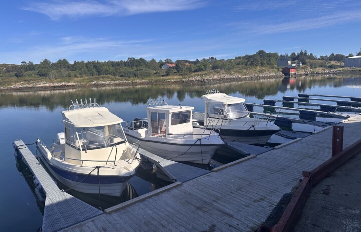 Staten setter fisketurismen under lupen