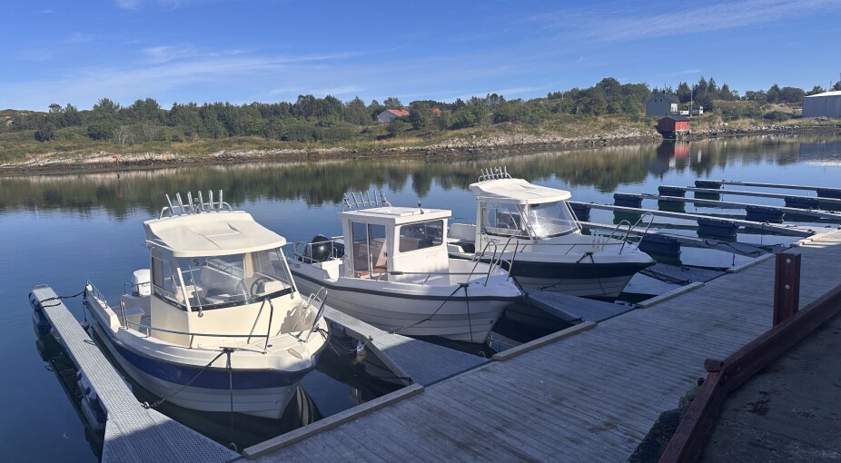 Staten setter fisketurismen under lupen