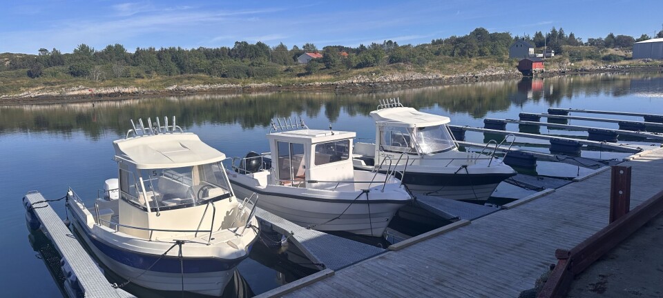 Staten setter fisketurismen under lupen
