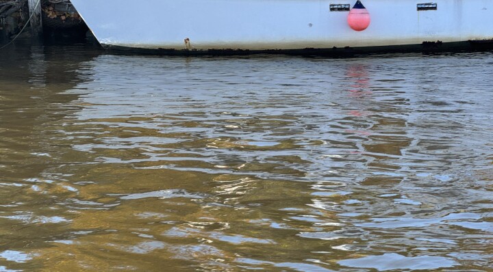 Får flengende kritikk av statsforvalteren for kloakkutslipp