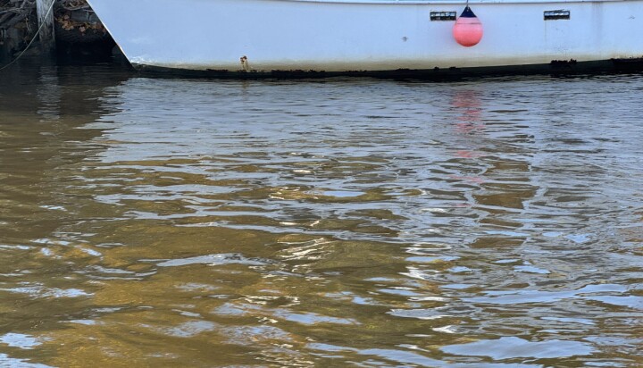 Får flengende kritikk av statsforvalteren for kloakkutslipp