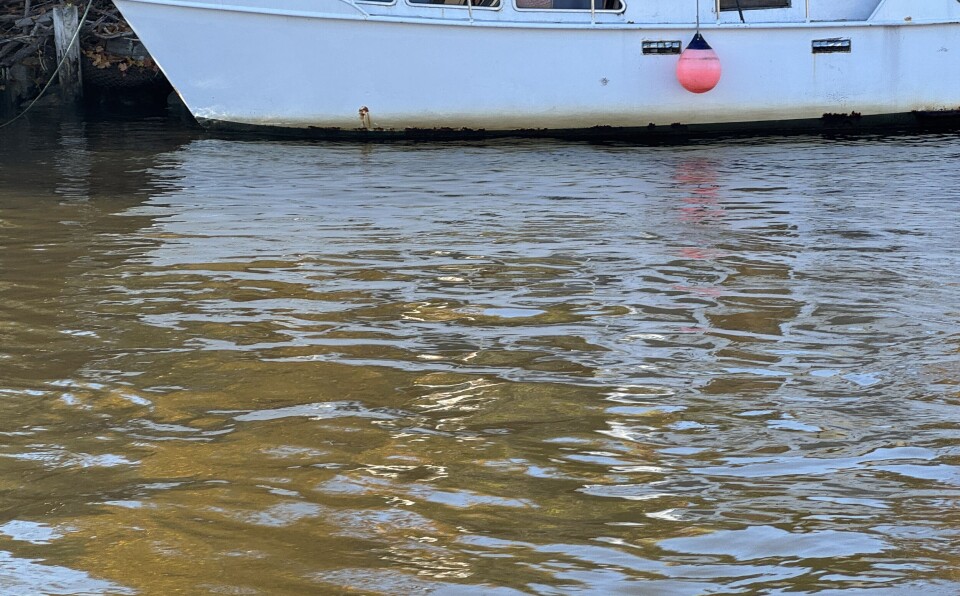 Får flengende kritikk av statsforvalteren for kloakkutslipp