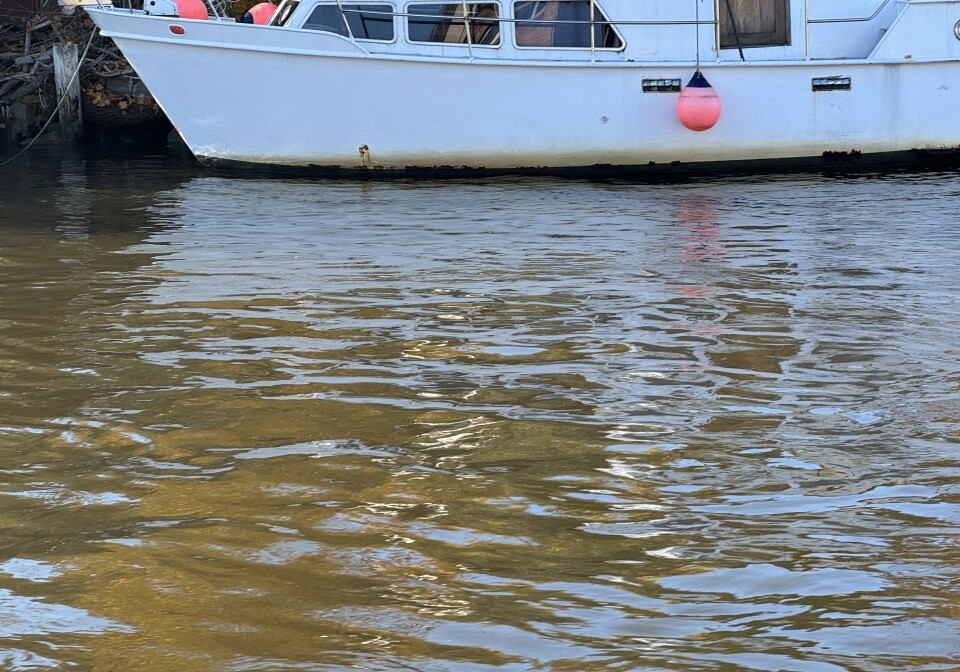 Får flengende kritikk av statsforvalteren for kloakkutslipp