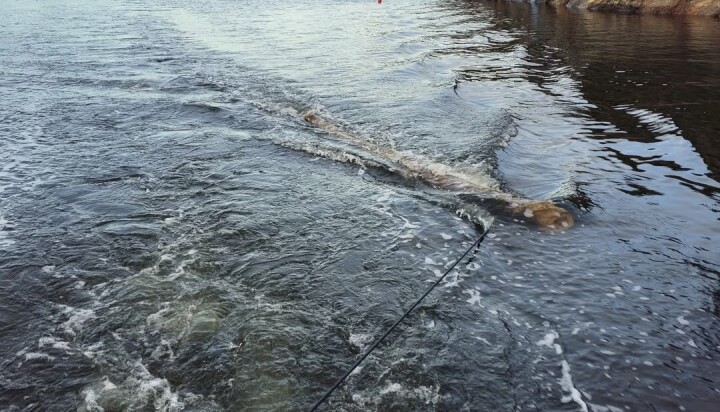 Høsten er en farefull tid for småbåter på sjøen