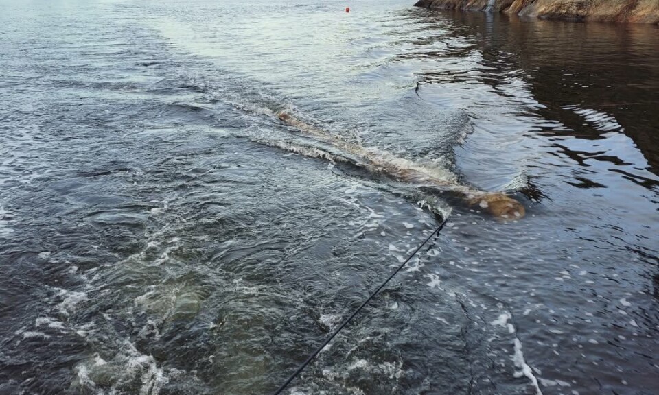 Høsten er en farefull tid for småbåter på sjøen