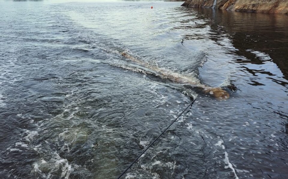 Høsten er en farefull tid for småbåter på sjøen