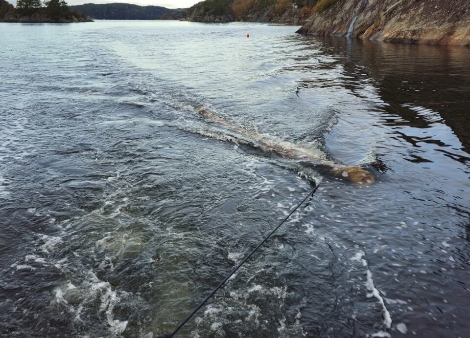 Høsten er en farefull tid for småbåter på sjøen