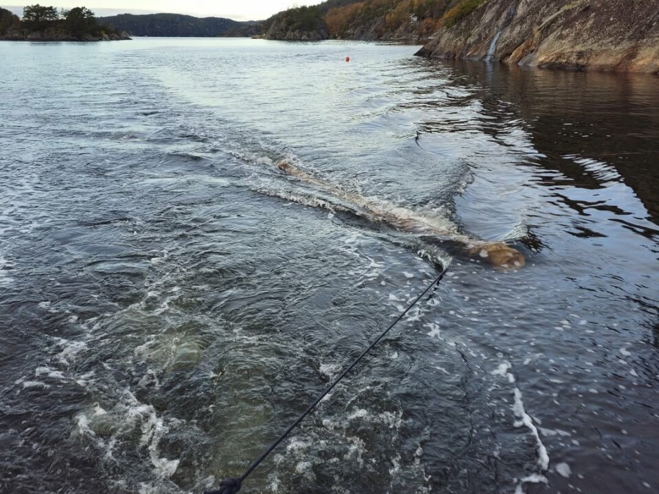 Høsten er en farefull tid for småbåter på sjøen