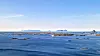 OPPGRADERING: Røst fiskerihavn i Nordland er blant prosjektene Kystverket peker på som modne for oppstart i 2027.