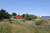 Rød hytte omgitt av gress, busker og villblomster med havet i bakgrunnen.