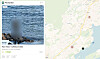 TJUVFISKE: På fiks fjorden kan en melde inn observasjoner av fiske, som nå er ulovlig i store deler av fjorden. Personer blir automatisk sladdet. Status for dette tipset er «på saken».