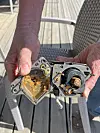 Hender holder en rusten, åpnet metallmekanisme med synlige tannhjul.